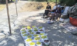 Hakkari’de incir bereketi: İlk ürünler tezgahlarda