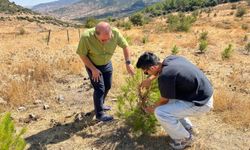 Kuraklığı önlemede 'su hasadı' yöntemi ile 2 kattan fazla başarı