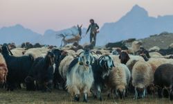 Hakkari'deki göçerlerin iki ay sürecek dönüş yolculuğu başladı