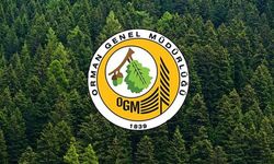 Orman Genel Müdürlüğü çok sayıda personel alacak
