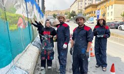 Hakkari’de duvarlar sanatla, kentin güzellikleriyle renkleniyor