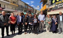 DEM Parti Hakkari: Demokratik entegrasyon süreci korunmalı