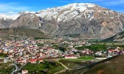 Hakkari’de doğum sayısında dikkat çeken değişim