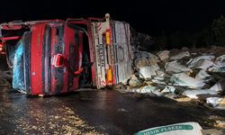 Hakkari-Van karayolunda TIR devrildi: Sürücü yaralandı