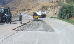 Hakkari Belediyesi ekipleri hafta sonu da sahada