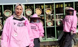 'Pembe maskeli’ kadın arıcılar hasada başladı