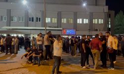 Siirt'te otomobilin çarptığı 2 genç öldü