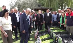 Şırnak'ta çiftçilere 152 bin 784 kışlık sebze fidesi dağıtıldı