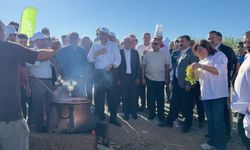 Adıyaman'da Bağ Bozumu Festivali düzenlendi