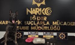 Iğdır'da yasaklı madde operasyonu: 2 tutuklama