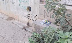 Serinlemek için sulama kanalına giren çocuk boğuldu