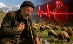 Hakkari’de kalp krizi geçiren çoban hayatını kaybetti