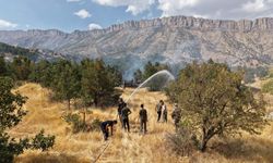 Hakkari'de ormanlık alanda çıkan yangın söndürüldü
