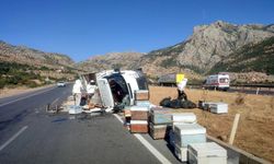 Bitlis'te devrilen arı kovanı yüklü kamyonetteki 3 kişi yaralandı
