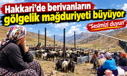 Hakkari’de berivanların gölgelik mağduriyeti büyüyor