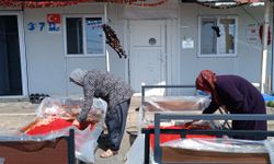 Depremzede kadınların 'salça' ve 'kurutmalık' telaşı