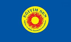 Hakkari Eğitim Sen: Okullarda şiddet sona ermeli
