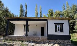 Hakkarili ikizler, yeni yuvalarına kavuştu
