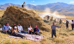 Hakkari’de kış hazırlığı: Otlar patoza atılıp hayvan yemi yapılıyor