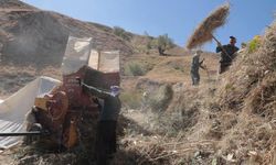 Hakkari'de besicilerin patoz mesaisi başladı