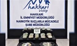Hakkari'de gözaltına alınan 12 kişiden 9'u tutuklandı