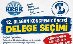 SES Hakkari Şubesi'nden kongre hazırlığı