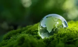 "Sıfır atık" ilk kez COP gündemine taşınıyor