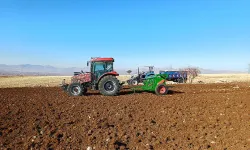 Hububat ve baklagillerde hasat başarıyla tamamlandı