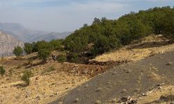Gündeş köylülerinden yol ve sınır tepkisi