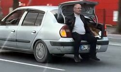 Yaralanan kediyi kurtarmak için bagajda yolculuk yaptı