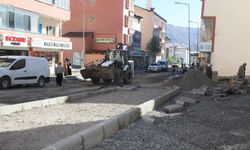 Hakkari Belediyesi’nden kentin dört bir yanında yoğun mesai