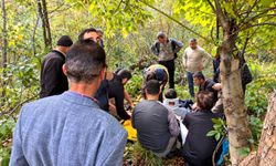Hakkari’de ceviz ağacından düşen vatandaş yaralandı
