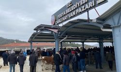 Hayvan Pazarı Şap nedeniyle kapatıldı
