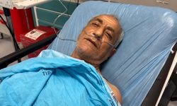 Kovanların bakımını yaparken arı saldırısında yaralandı