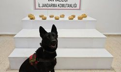 Başkale’de 11 kilo 958 gram toz esrar ele geçirildi