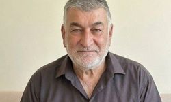 Ceviz toplamak için çıktığı ağaçtan düşüp öldü