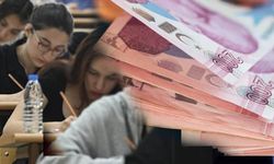 Hakkari’de öğrencilere İŞKUR desteği: Haftada 3 gün çalışıp 19 bin TL’ye kadar