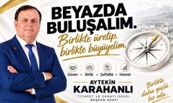 Karahanlı: Daha güçlü bir Hakkari için adayım
