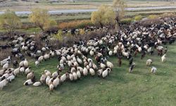 Van ve Bitlis’te göçerlerin dönüş yolculuğu başladı