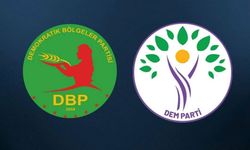 Hakkari DEM Parti ve DBP’den Ankara Garı açıklaması