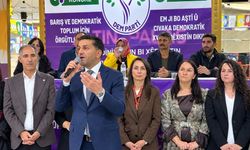 Hakkarili Avukat DEM Parti Van İl Eş Başkanı oldu