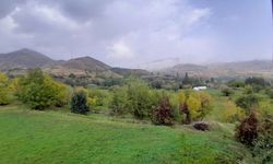 Hakkari’de 4 köyde yaşanan internet sorunu giderildi