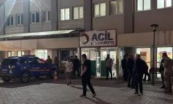 Siirt'te 22 kişi hastaneye kaldırıldı