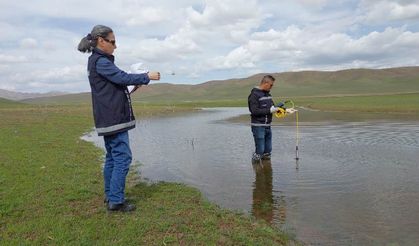 Van'da göletlerdeki balık ölümleri araştırılıyor