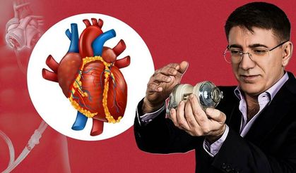 ABD'den yapay kalp mucidi Kürt doktora onay