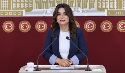 DEM Parti'li Koçyiğit: Bütün partiler İmralı'ya gitmeli