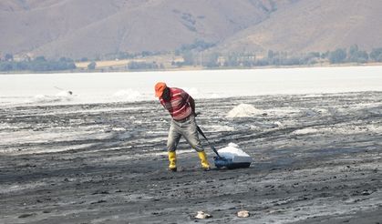 Tuzla Gölü'nde geleneksel yöntemle tuz hasadı başladı
