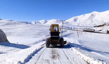 Van, Bitlis ve Muş’ta kar etkisini gösterdi