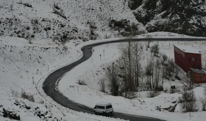 Kar ve sis Hakkari'ye farklı bir renk kattı