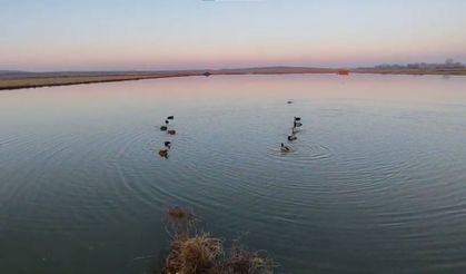 Yasa dışı avlanan 4 avcıya 762 bin lira ceza